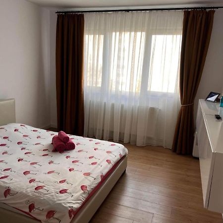 Apartament Garsoniera Flamingo Garii 4 Braszów Zewnętrze zdjęcie