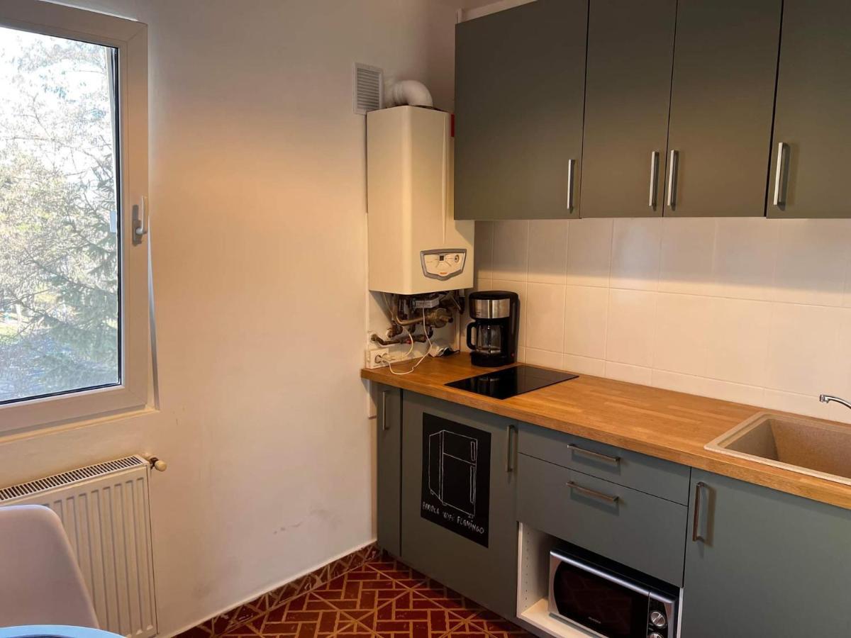 Apartament Garsoniera Flamingo Garii 4 Braszów Zewnętrze zdjęcie