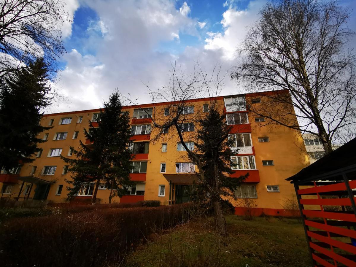 Apartament Garsoniera Flamingo Garii 4 Braszów Zewnętrze zdjęcie
